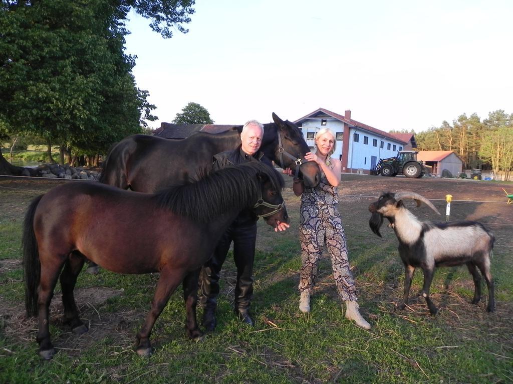 Gutshof Dragefeld Villa Krzyz Wielkopolski Luaran gambar