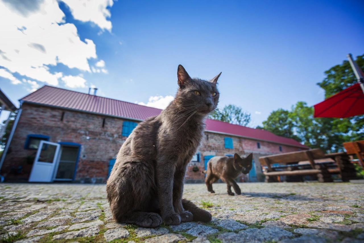 Gutshof Dragefeld Villa Krzyz Wielkopolski Luaran gambar